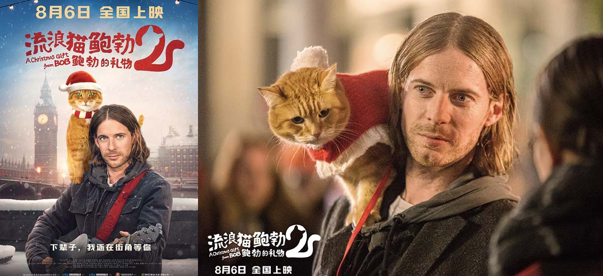 《流浪猫鲍勃2：鲍勃的礼物》定档8月6日 鲍勃猫延续最后的温暖