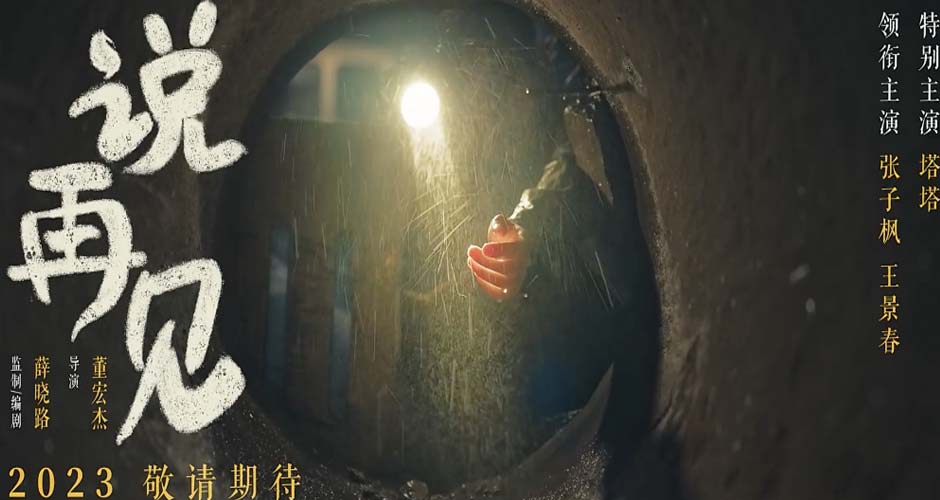 电影《说再见》曝影院版预告 张子枫冒雨救狗双向奔赴