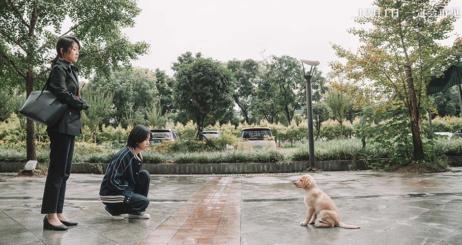 《再见，李可乐》首曝“家人”特辑  闫妮谭松韵首次与萌犬合作